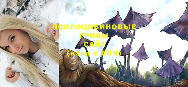 эйфоретик Галич