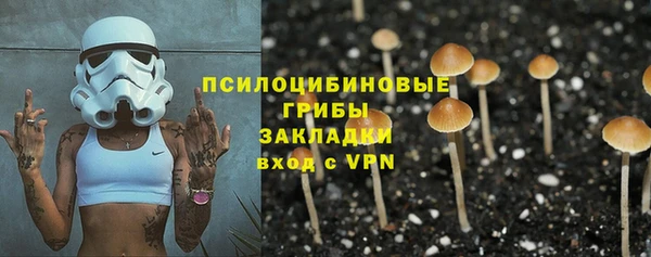 бутират Алзамай