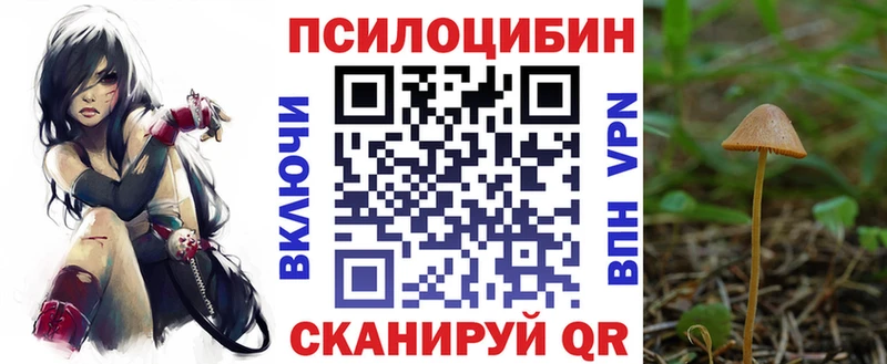 Галлюциногенные грибы Magic Shrooms  как найти наркотики  mega   мориарти состав  Лаишево 